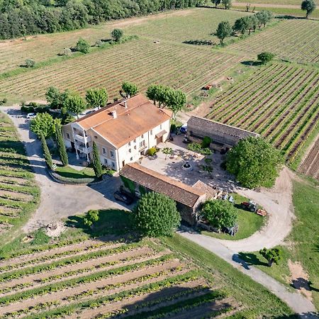 Gite Vert D'Olive Au Milieu Des Vignes - Chateau Les Apies Les Arcs-sur-Argens Exterior photo