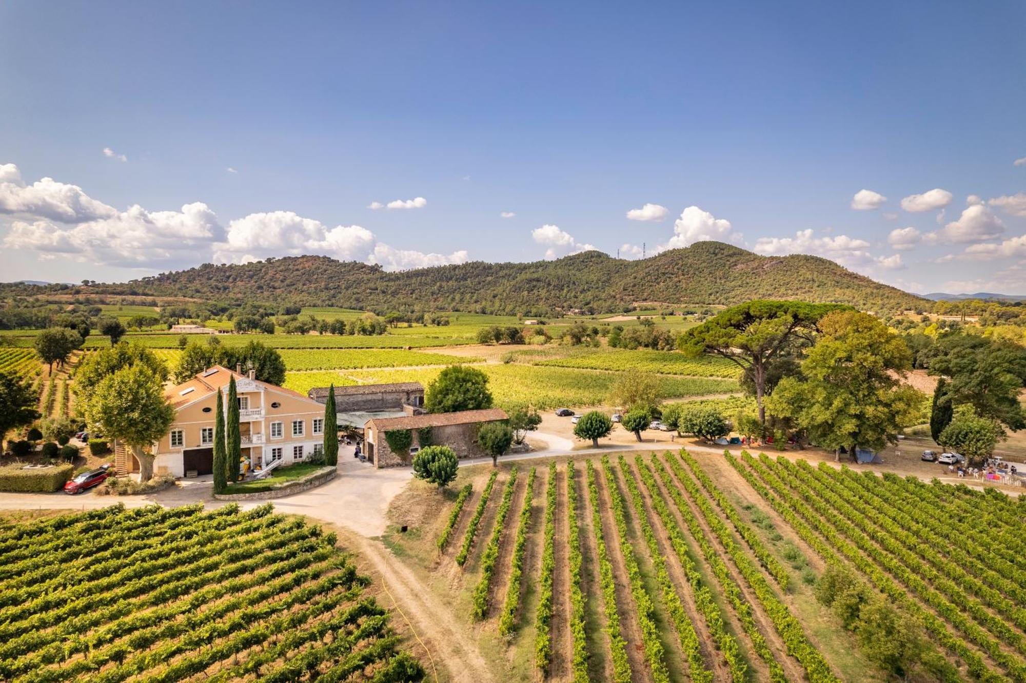 Gite Vert D'Olive Au Milieu Des Vignes - Chateau Les Apies Les Arcs-sur-Argens Exterior photo